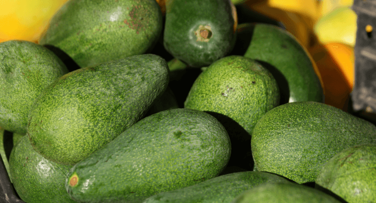 Bacon Avocado: A Light and Delicious Choice
