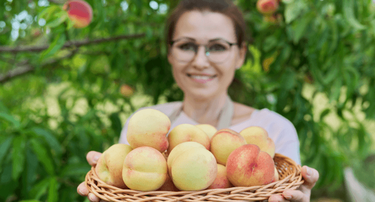 Artemis Peach: Natural Flavor and Freshness