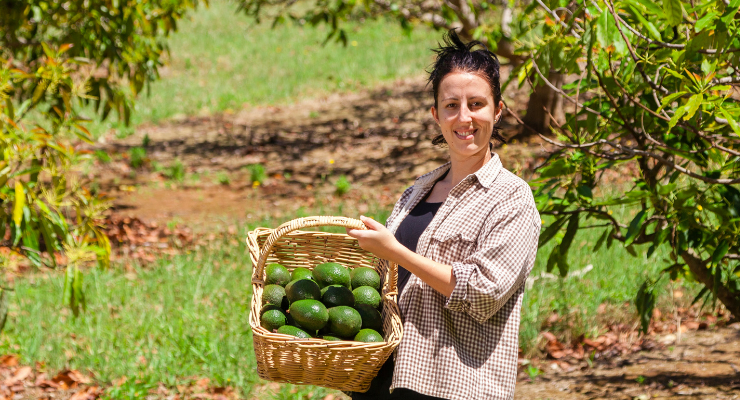 Avocado Group: Natural Nutrition and Health